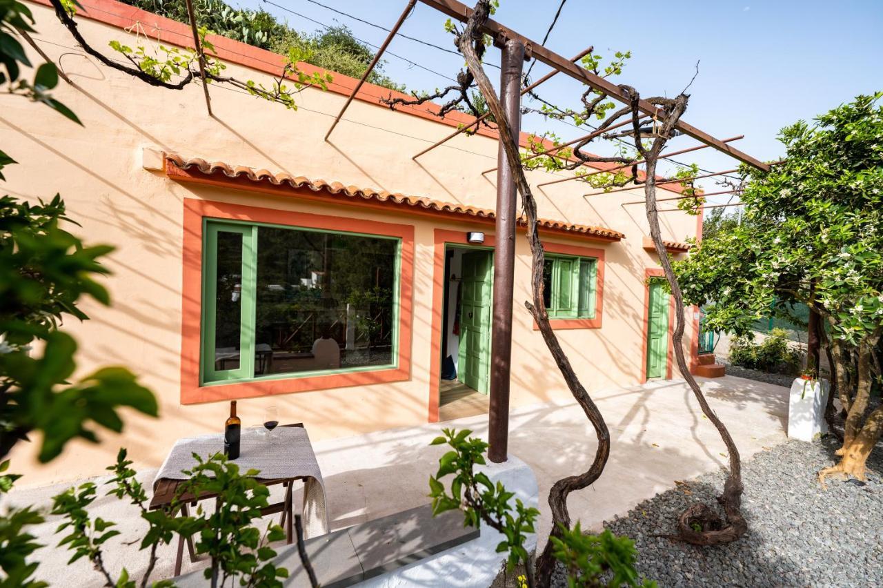 Casa Rural Bejeque Teror Exteriér fotografie