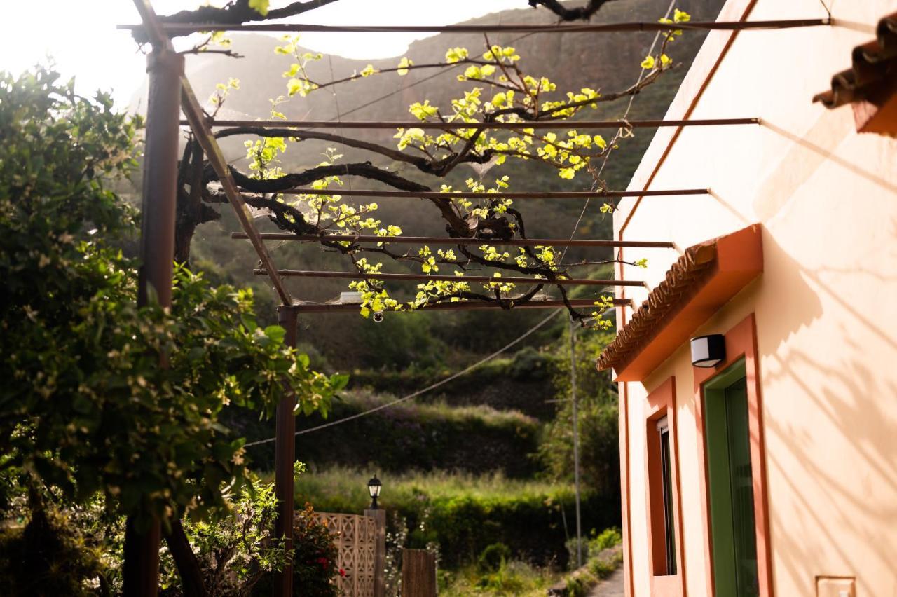 Casa Rural Bejeque Teror Exteriér fotografie