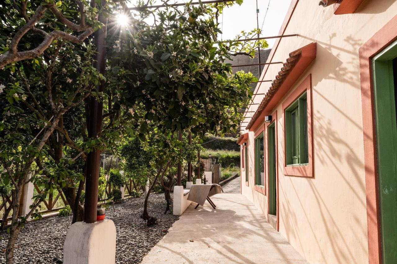 Casa Rural Bejeque Teror Exteriér fotografie